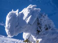 Skurriler Schneetroll